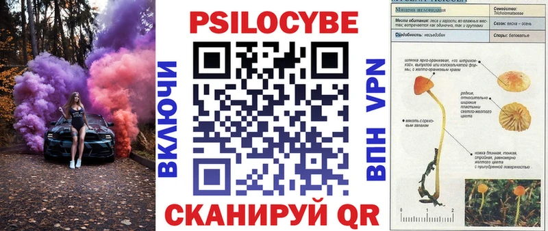 наркошоп  Боровичи  Псилоцибиновые грибы ЛСД 