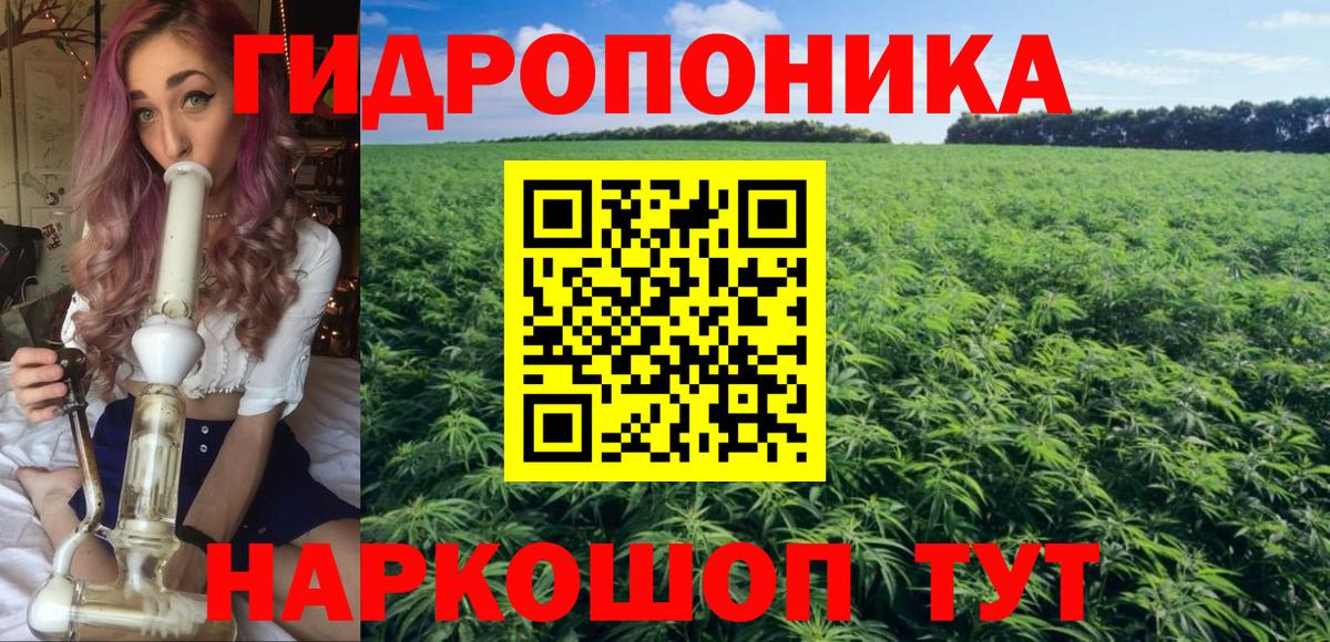 Марихуана план  Марихуана MAZAR  Боровичи  Канабис индика  Вход с VPN  Шишки марихуана планчик 